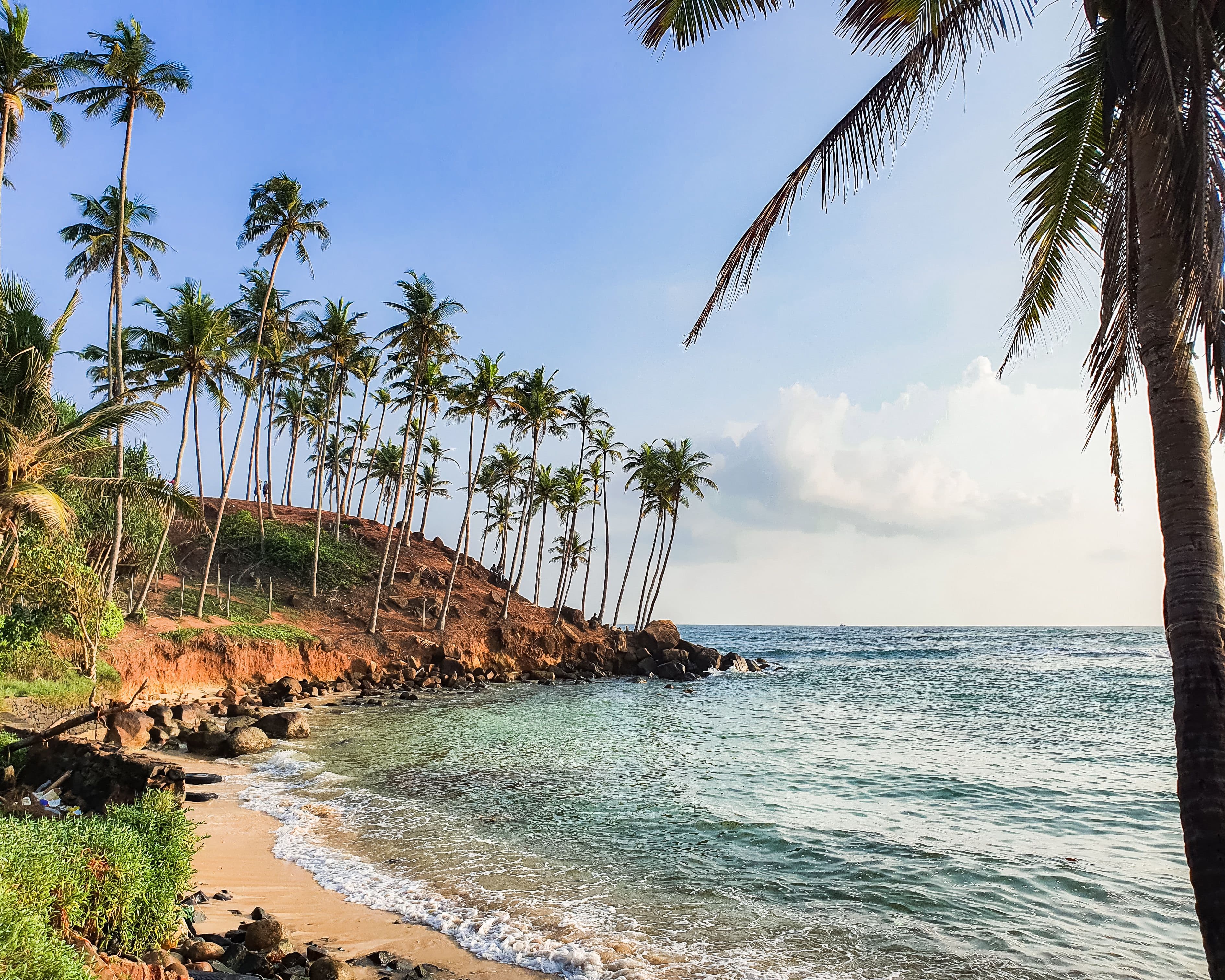 Tropical beach with palm trees in Sri Lanka