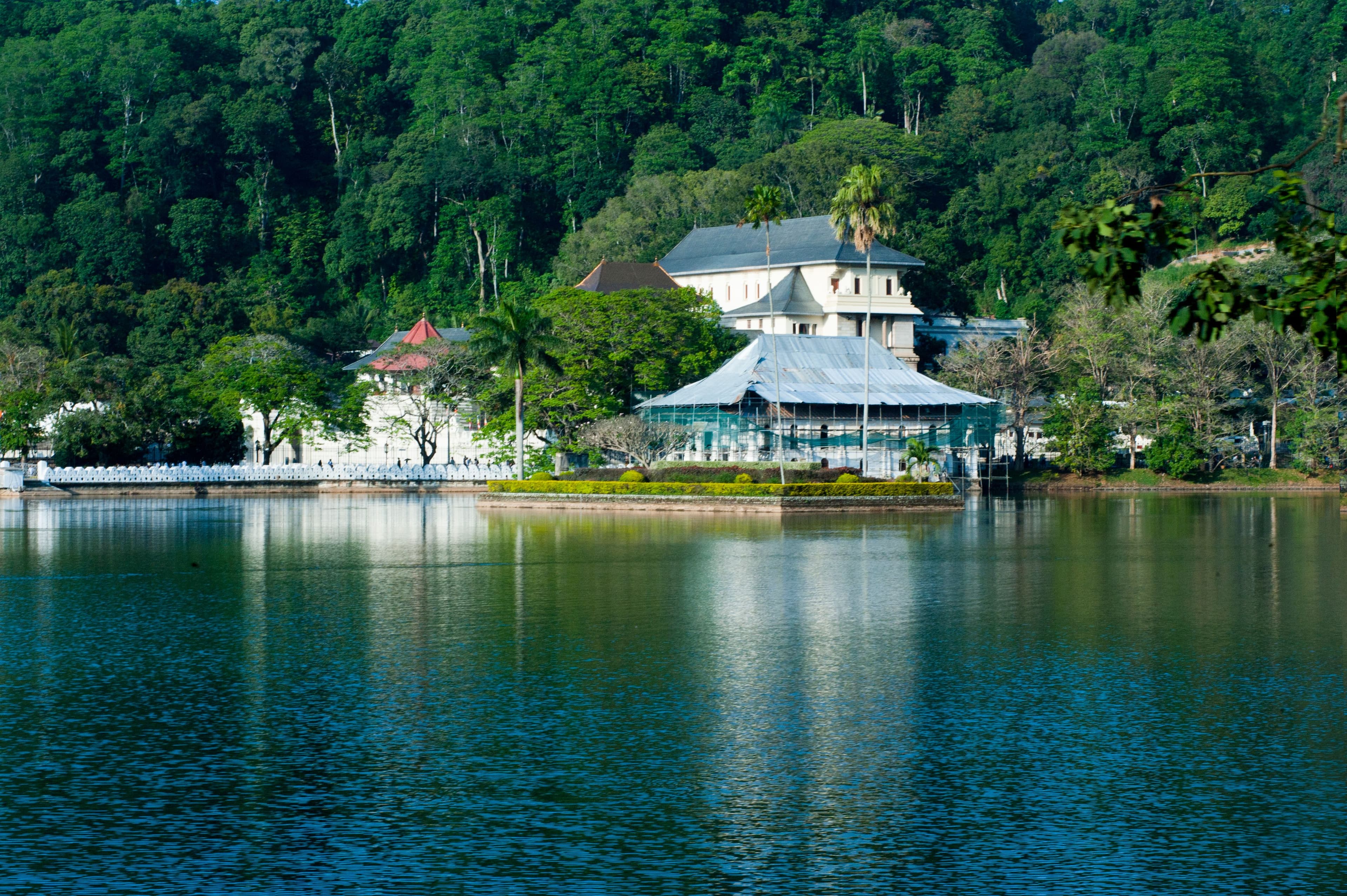 Hill Country & Tea Trails — signature tour of Sri Lanka